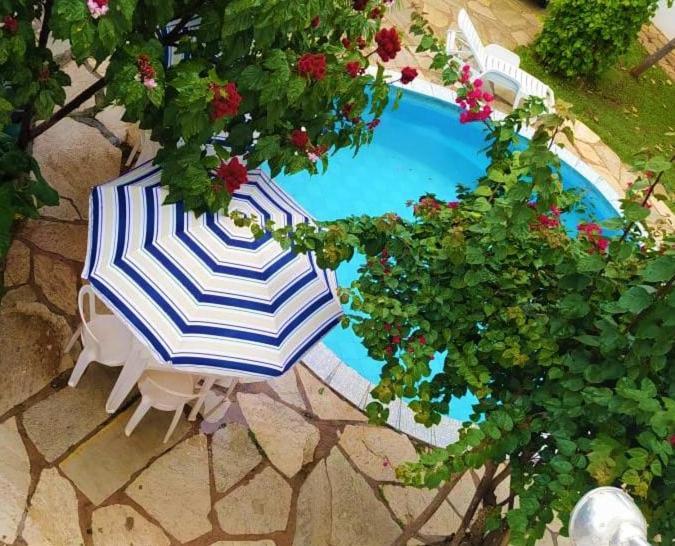Pousada Aquarela Pirenópolis Εξωτερικό φωτογραφία